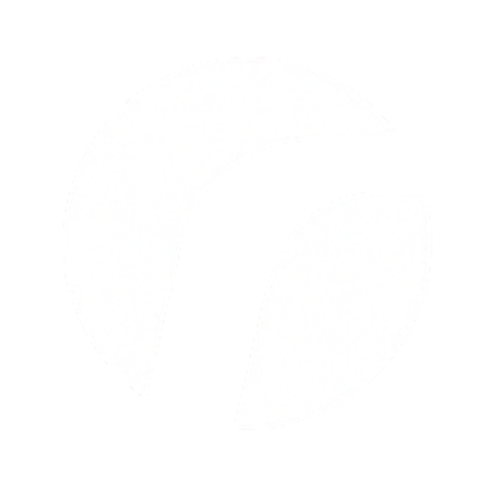 Fokus Studios